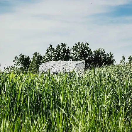 Ferienwohnung Boje 18 Daire *